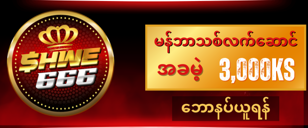 shwe666